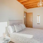 Lagar Del Altillo-revilla Vallejer Lantställe